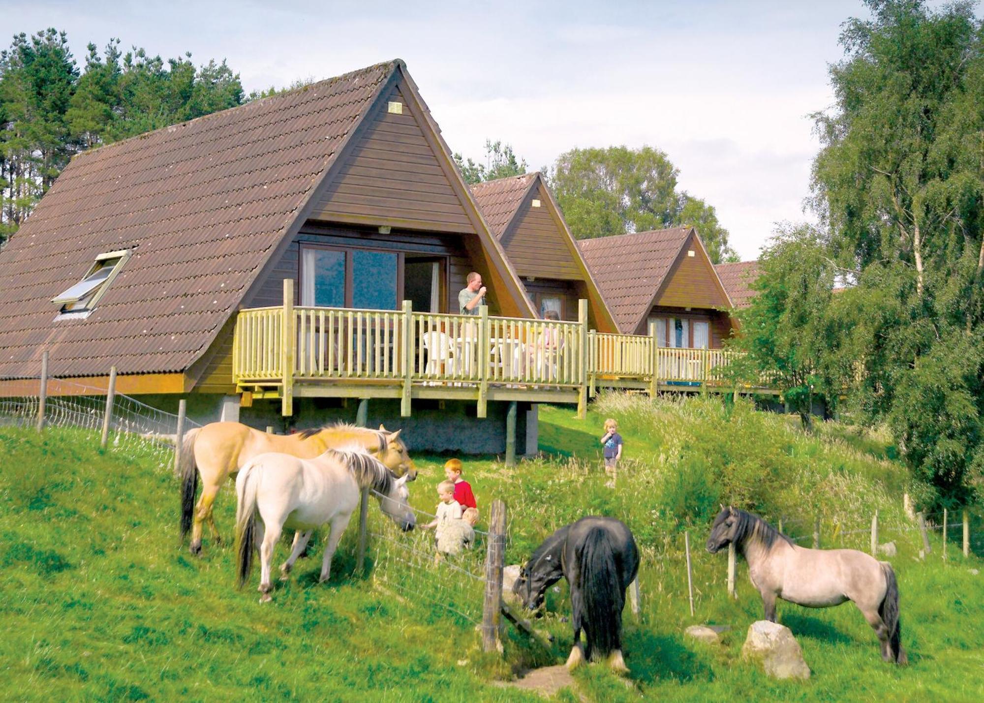 Delny Highland Lodges Инвергордон Экстерьер фото